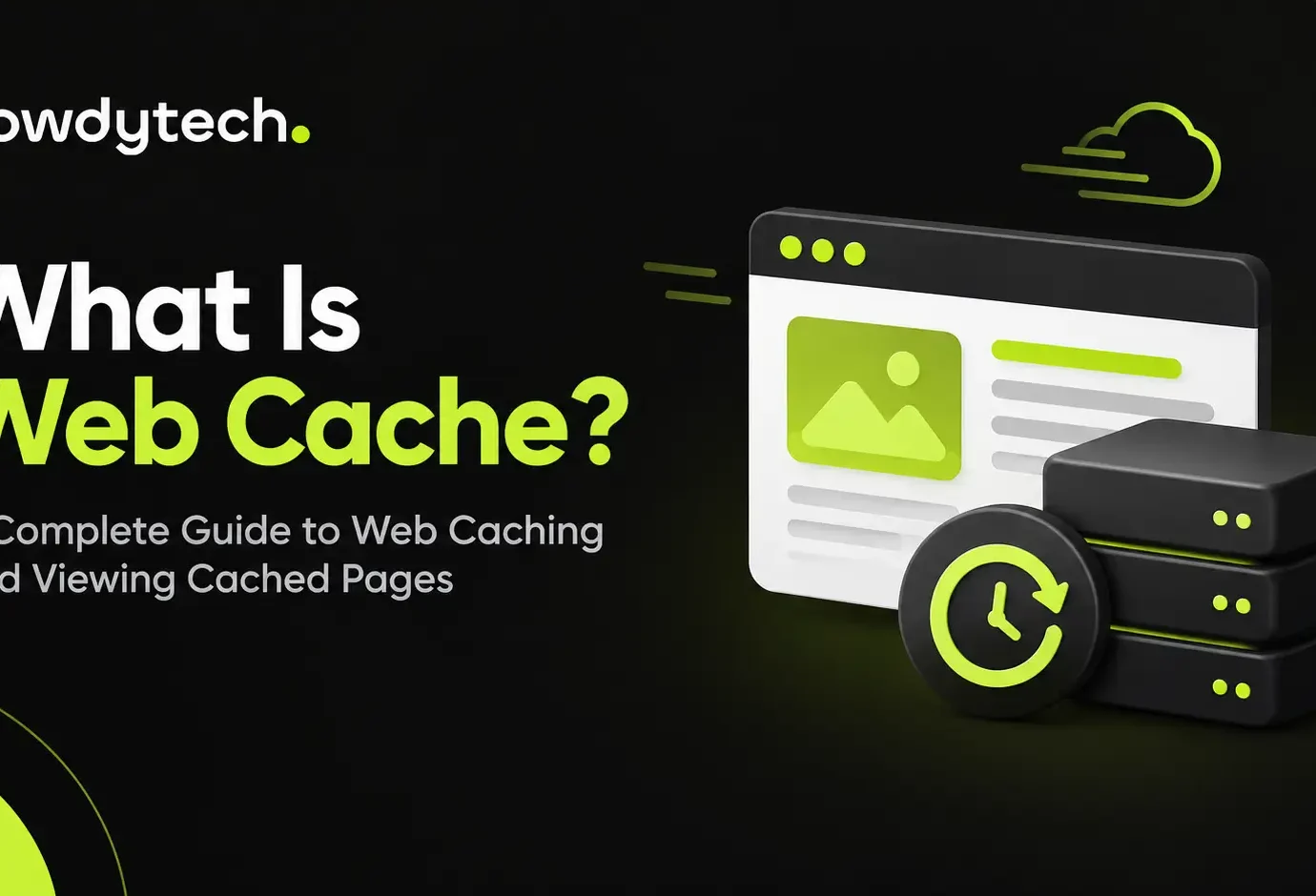 Web cache servers storing cached website pages